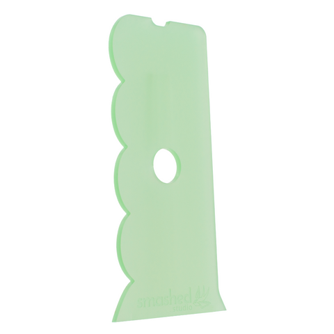 BigScoop - 10 Pack